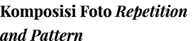Komposisi Foto Repetition and Pattern 